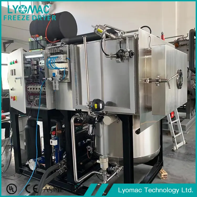 Die hydraulischen und pneumatischen Systeme von Lyomac: Der mechanische Kern der zuverlässigen Gefriertrocknung
