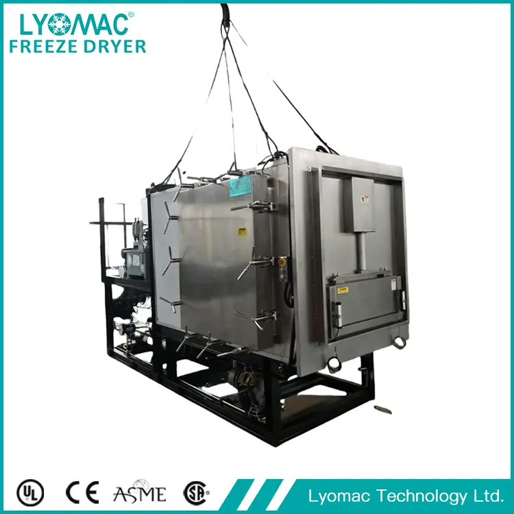 GMP Pharmazeutischer Lyophilisator