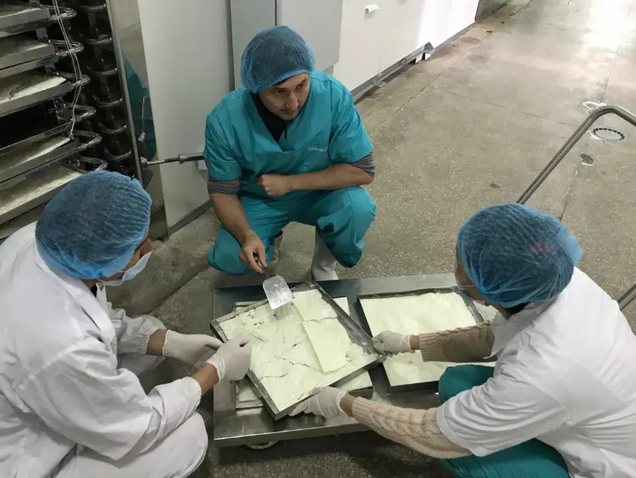 LYOMAC Freeze Dryer equipment for vaccine and pharmaceutical lyophilization applications